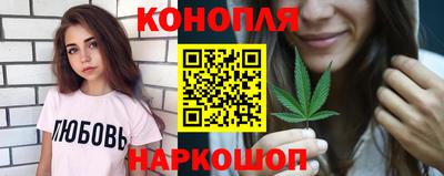 сатива Гай