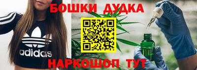 сатива Гай
