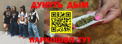 сатива Гай