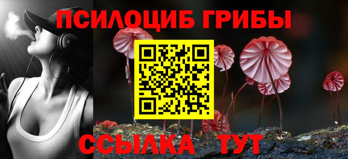 Орехово-Зуево  Галлюциногенные грибы Cubensis  дарнет шоп  Вход с VPN 